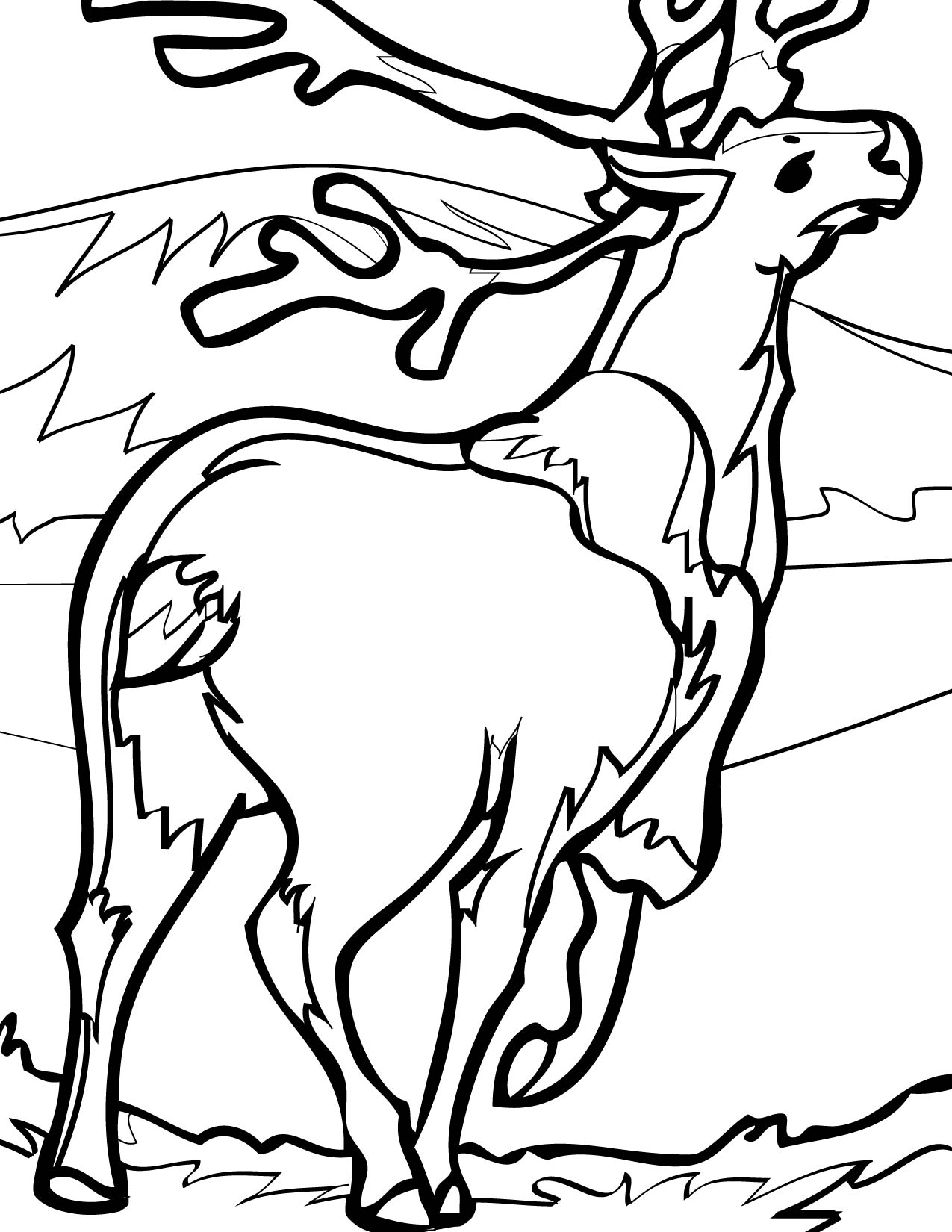 Caribou Coloring Page 1275x1650 Caribou Coloring Page