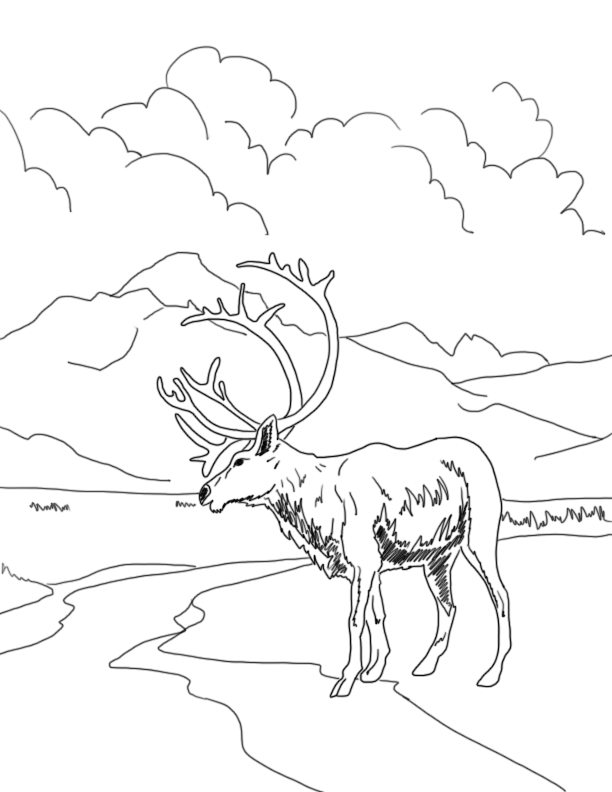 Coloring Pages 612x792 Coloring Pages