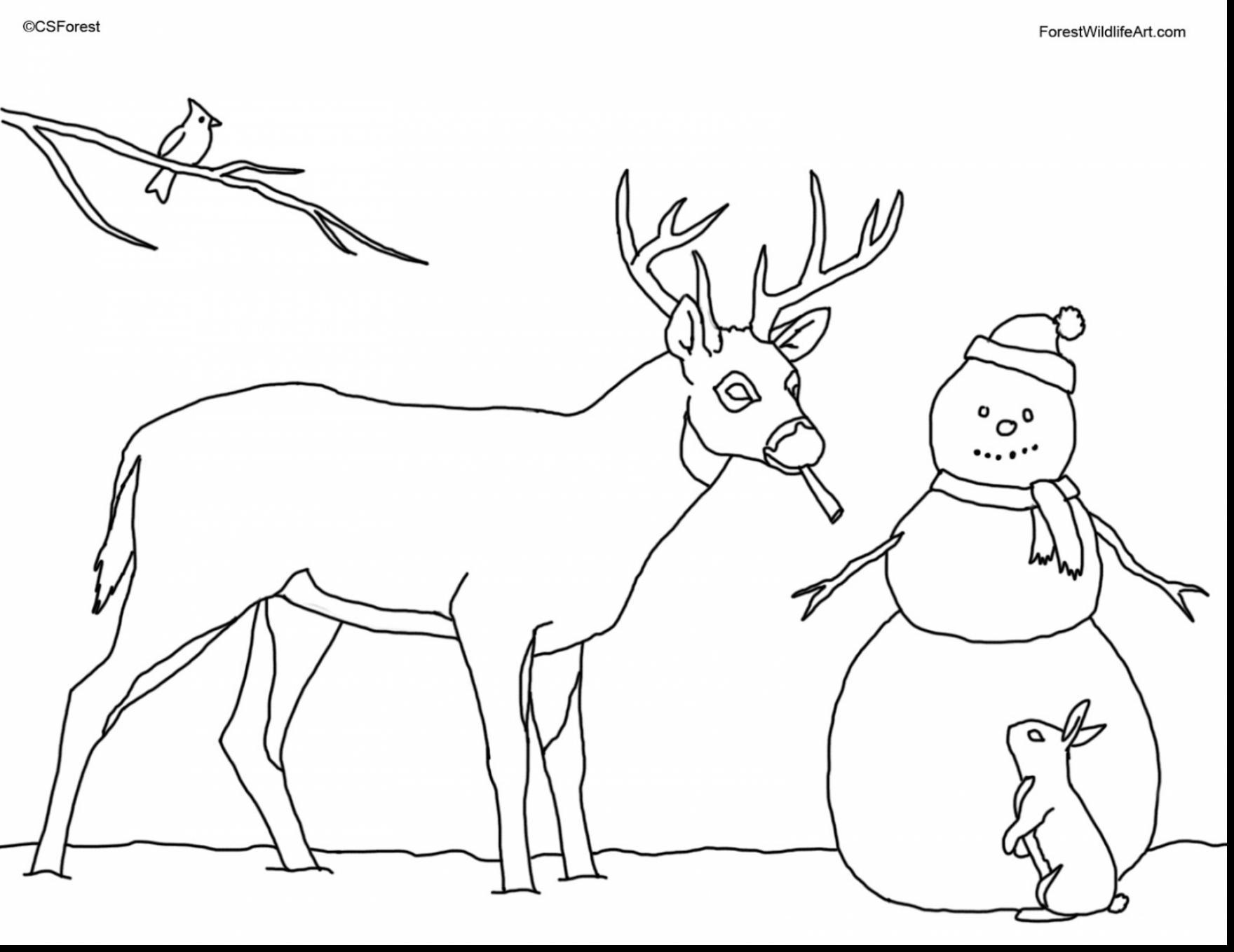 Appealing Tractor Printable Coloring Pages For John Deere To Print 1760x1359 Appealing Tractor Printable Coloring Pages For John Deere To Print