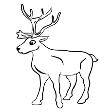 Top 20 Free Printable Reindeer Coloring Pages Online 230x230 Top 20 Free Printable Reindeer Coloring Pages Online