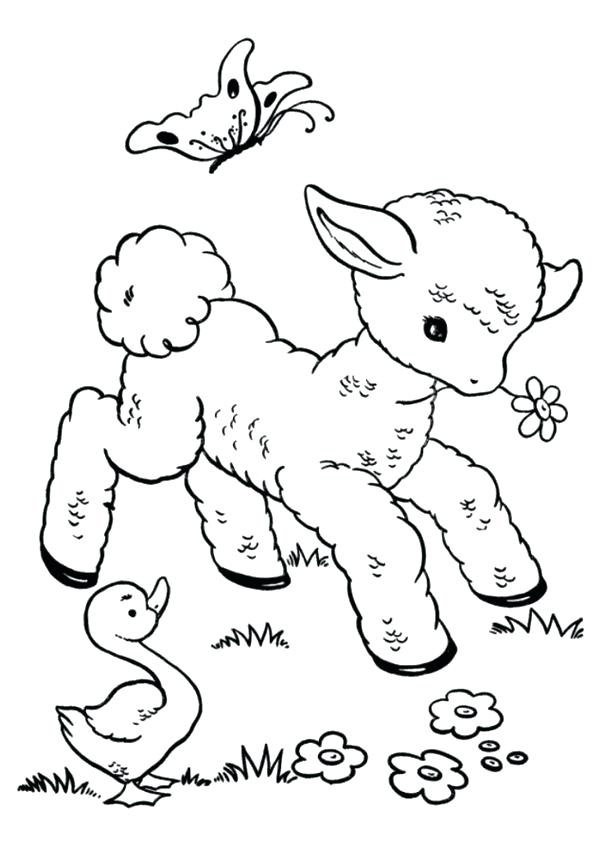 595x842 Amusing Caring Coloring Pages Funny Sheep Coloring Pages Your