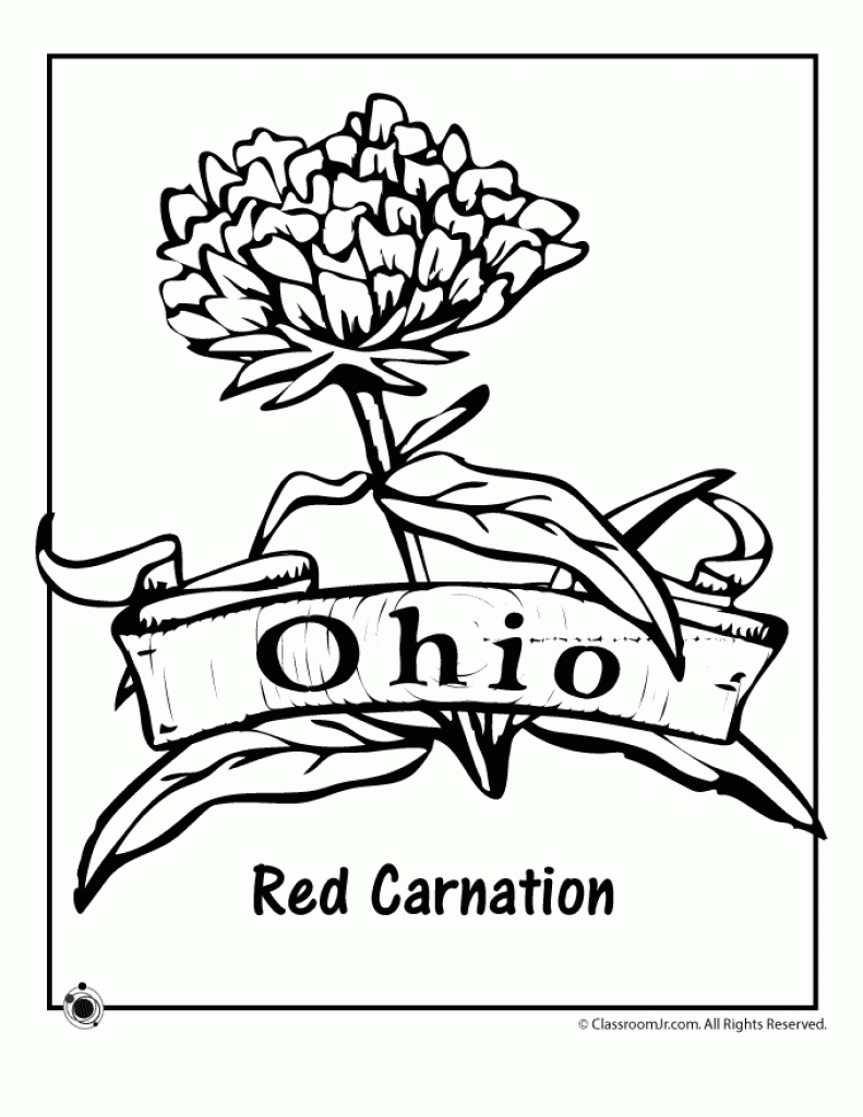 791x1024 No41 Carnation Pink Coloring Page