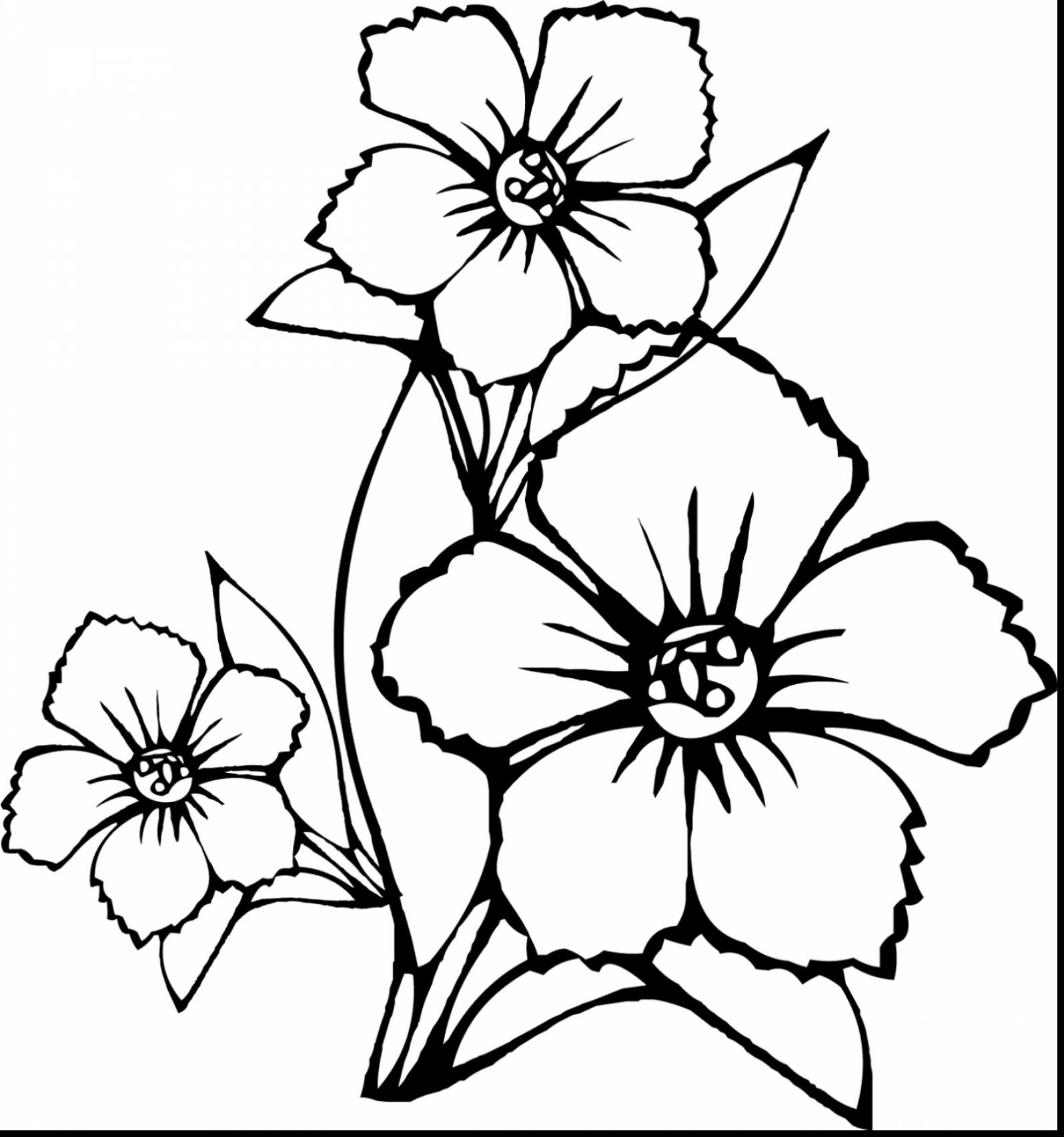 Cool Flowers Coloring Pages Download Flower 1595x1705 Cool Flowers Coloring Pages Download Flower