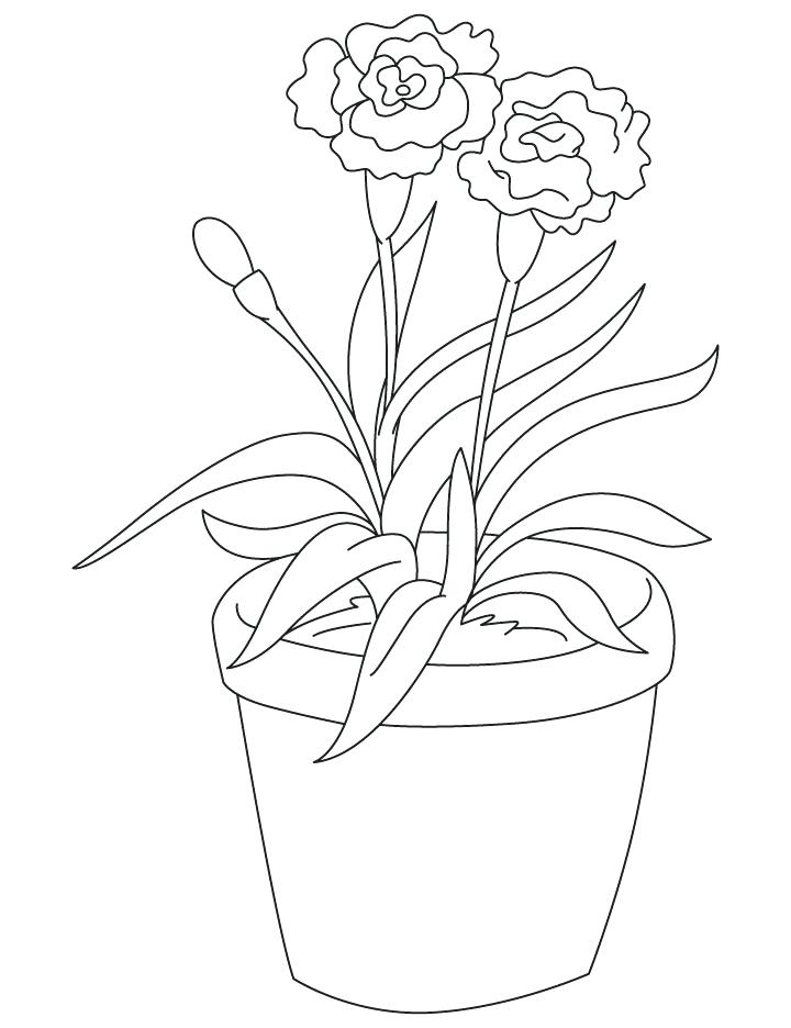 Carnation Flower Coloring Pages at GetColorings.com | Free printable ...