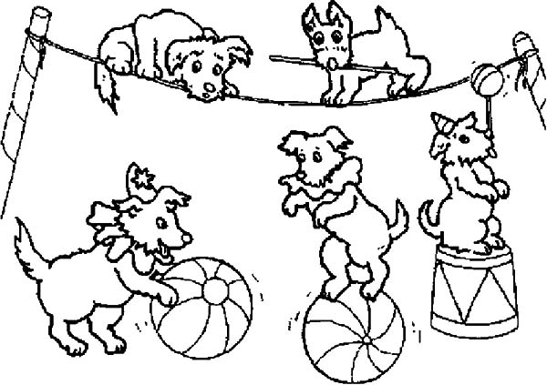 600x423 Focus Circus Pictures To Color Dog At Carnival Coloring Pages Best