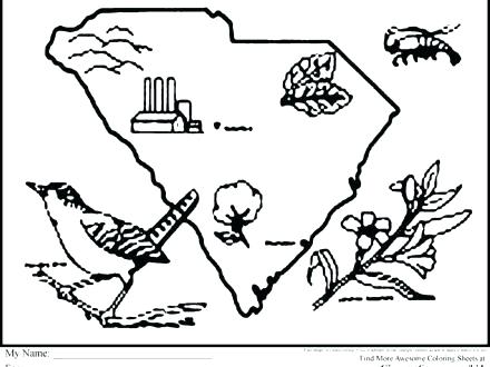 440x330 Carolina Panthers Coloring Pages Panthers Coloring Pages Also Team