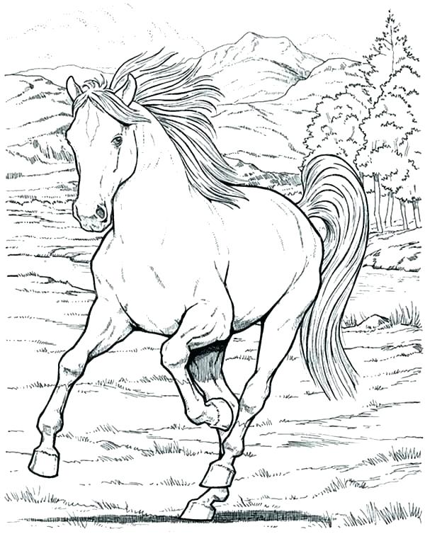 Coloring Page Horse Carriage Coloring Pages Coloring Page 600x771 Coloring Page Horse Carriage Coloring Pages Coloring Page