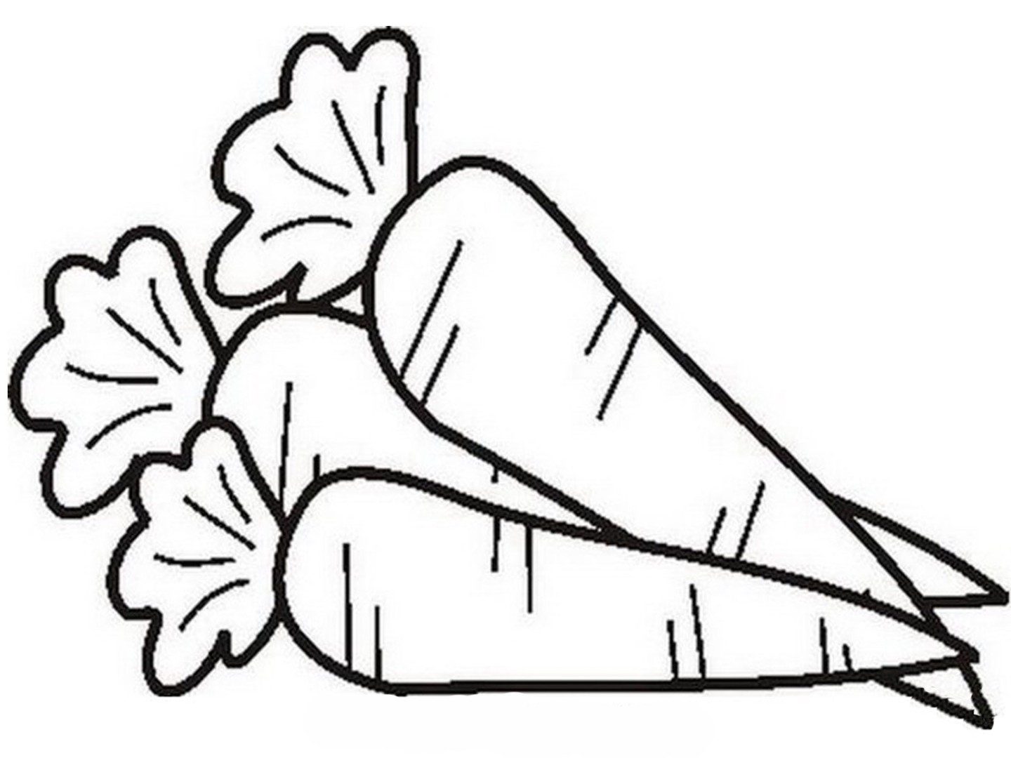 1440x1080 Carrot Coloring Pages To Download And Print For Free