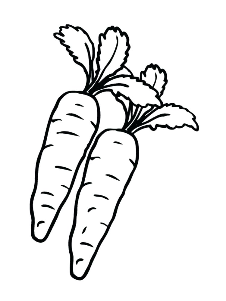 750x1000 Carrot Coloring Page Bunny Rabbit Coloring Page 2 Carrot Nose