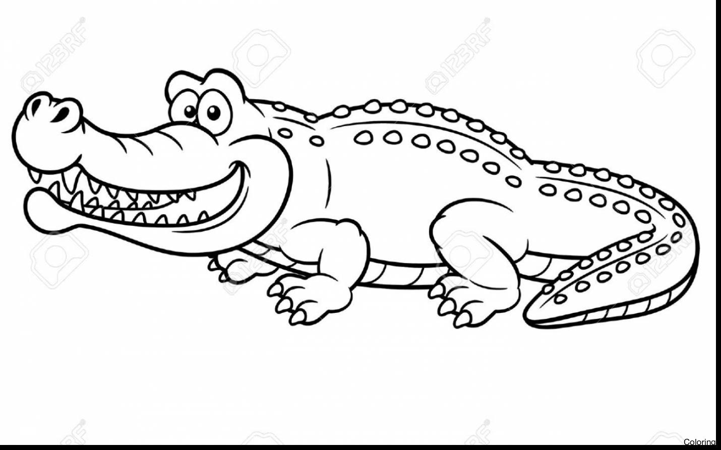 Alligator Coloring Pages Discover All 1430x893 Alligator Coloring Pages Discover All