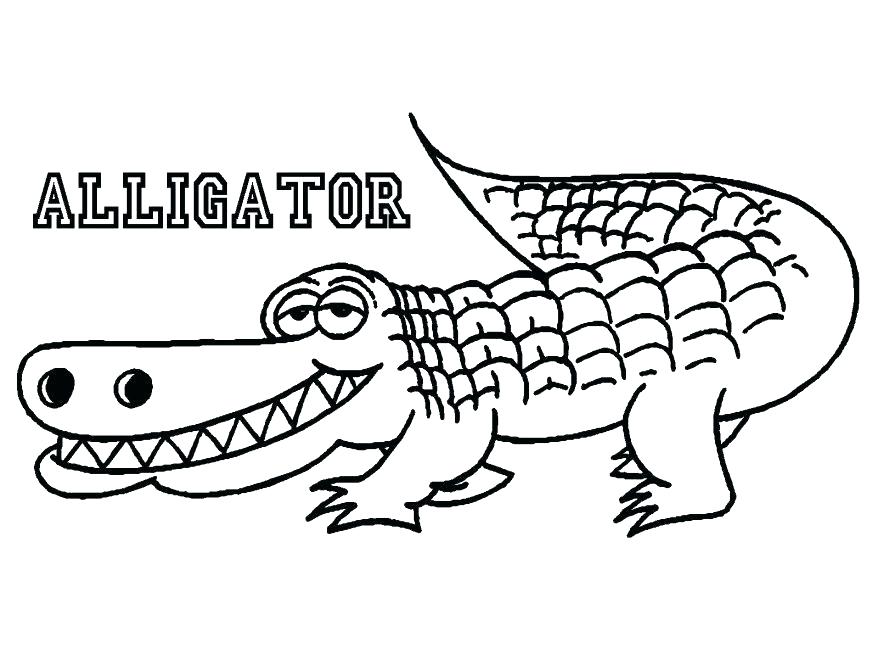 Alligator Coloring Pages Free Alligator Coloring Pages Printable 878x659 Alligator Coloring Pages Free Alligator Coloring Pages Printable