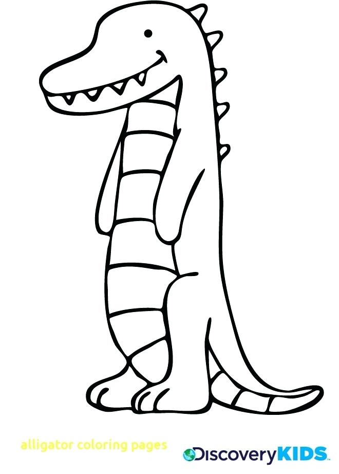Alligator Coloring Page Alligator Coloring Page Alligator Coloring 660x922 Alligator Coloring Page Alligator Coloring Page Alligator Coloring