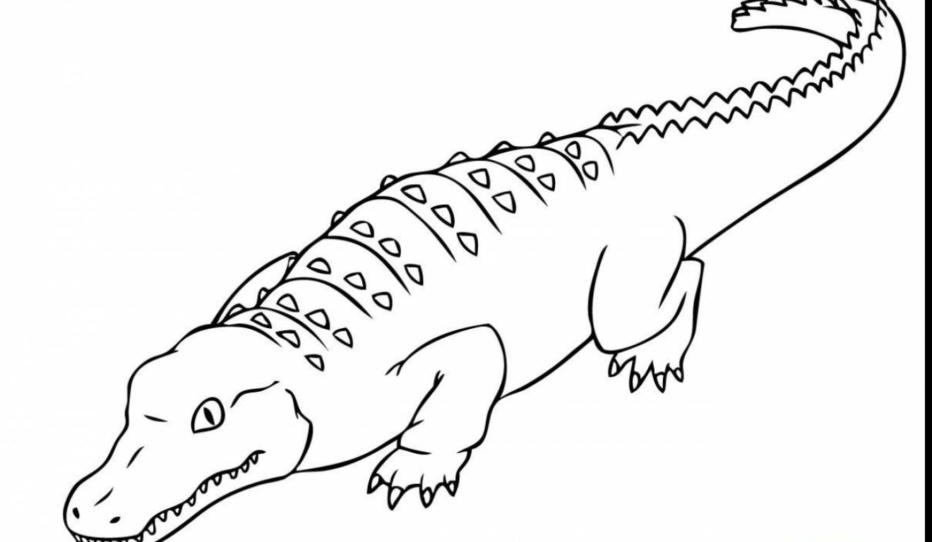 Cartoon Alligator Coloring Pages at GetColorings.com | Free printable ...