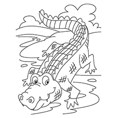 Top 10 Free Printable Crocodile Coloring Pages Online 230x230 Top 10 Free Printable Crocodile Coloring Pages Online