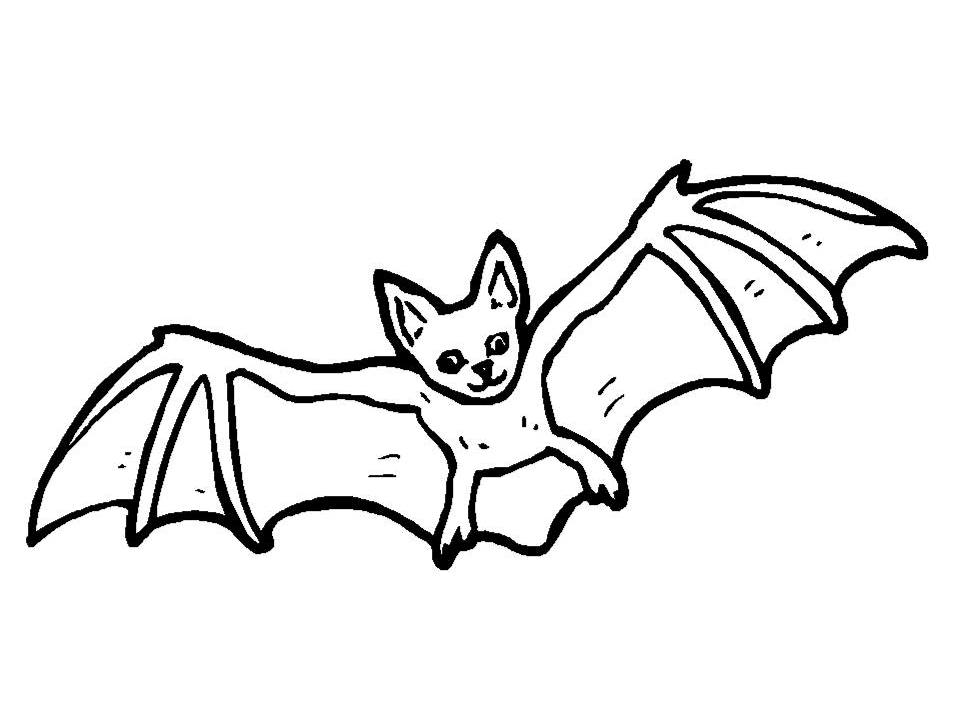 957x718 Bat Colouring Page Bats Bats