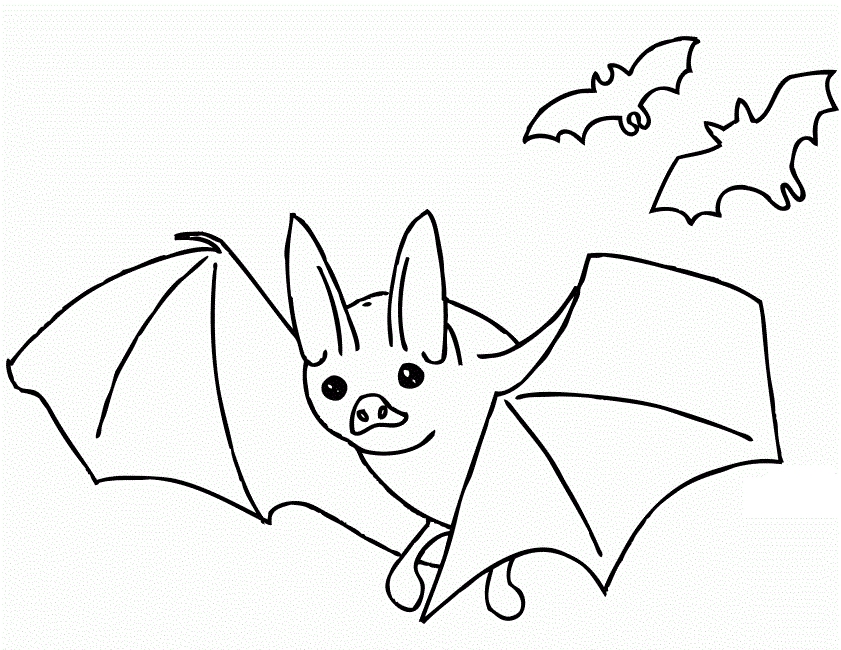 841x650 27 Bat Coloring Pages Pictures Free Coloring Pages