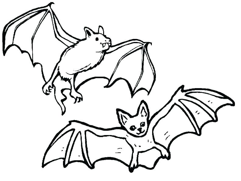 792x595 Halloween Bat Coloring Pages Bat Coloring Pages Free Related