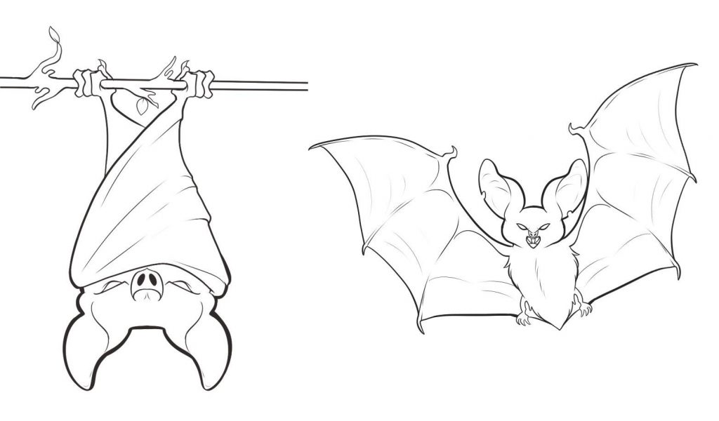 1024x600 Magnificent Bats Coloring Pages Cartoon Bat Page Cute To Print