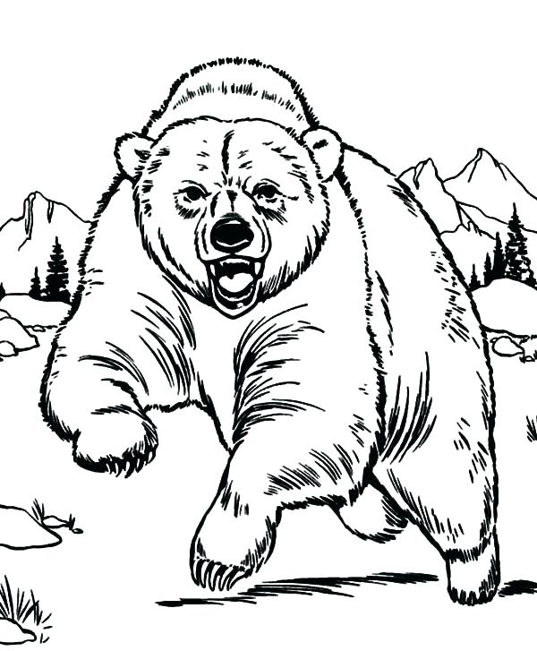 Little Bear Coloring Pages Cartoon Panda Bear Coloring Pages 600x727 Little Bear Coloring Pages Cartoon Panda Bear Coloring Pages