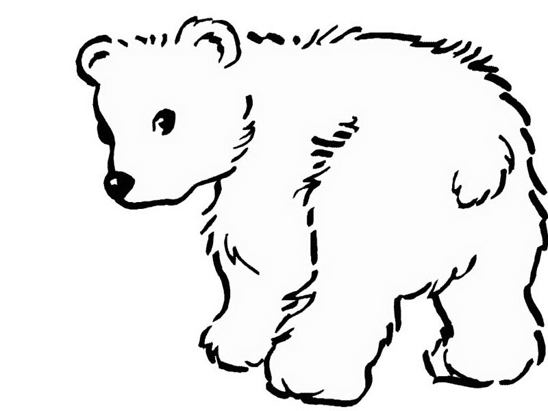 Bear Pictures To Color Trend Polar Bear Coloring Pages 29 About 800x600 Bear Pictures To Color Trend Polar Bear Coloring Pages 29 About