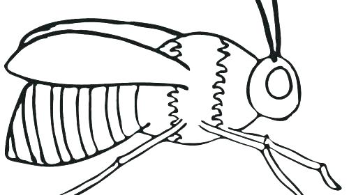 500x280 Coloring Pages Of Bees Bumble Bee Coloring Pages Bumble Bee