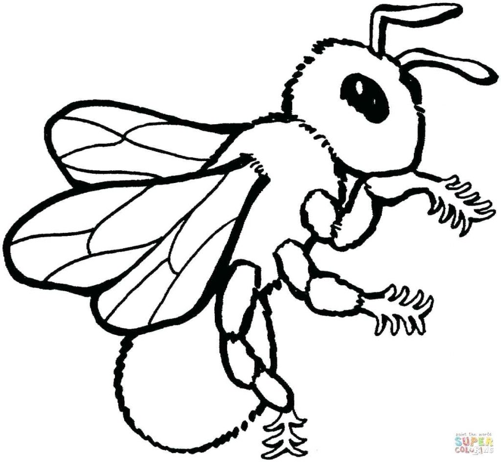 1024x944 Coloring Pages ~ Bumble Bee Coloring Page Excellent Template