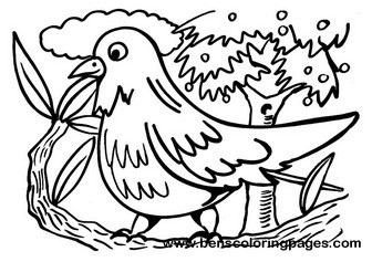 336x237 Bird Coloring Book Page