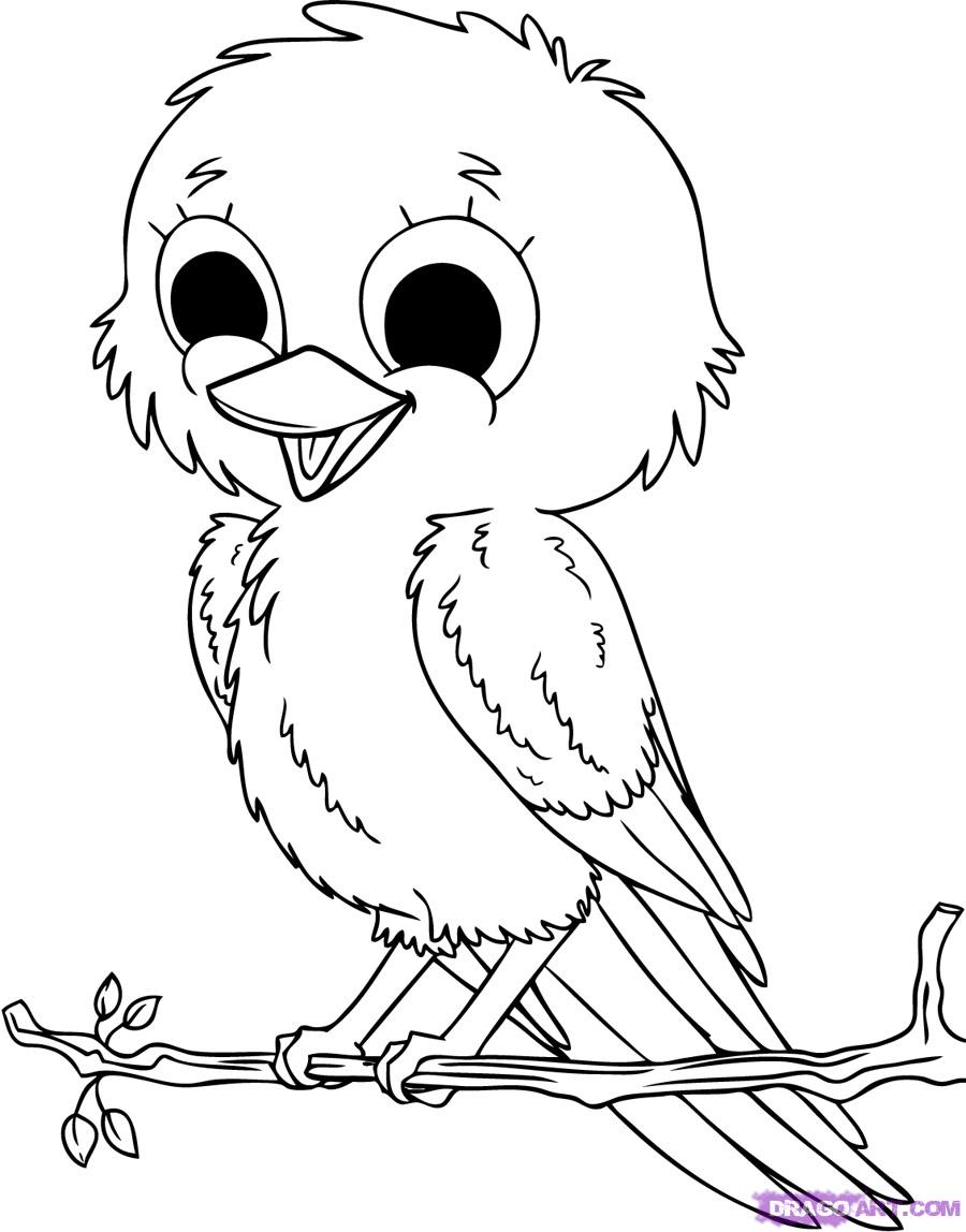 900x1148 Bird Coloring Pages To Download And Print For Free