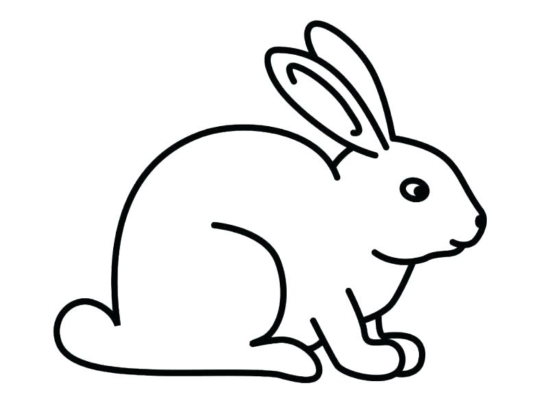 805x604 Rabbits Coloring Pages Bunny Rabbit Coloring Pages Peter Rabbit