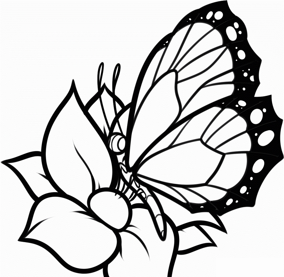 Cartoon Butterflies Coloring Pages Photograph Butterflies Coloring 1076x1047 Cartoon Butterflies Coloring Pages Photograph Butterflies Coloring