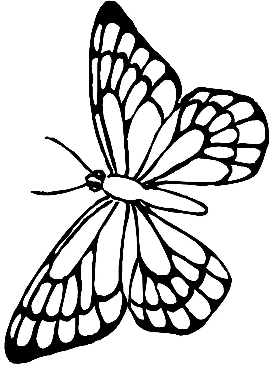 Unique Cartoon Butterfly Coloring Pages Design Printable 950x1266 Unique Cartoon Butterfly Coloring Pages Design Printable