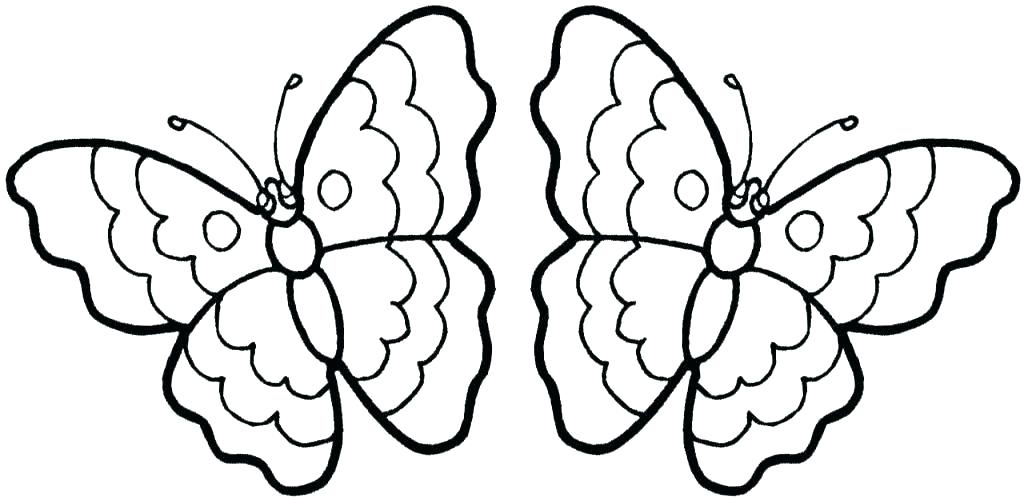 Butterfly Coloring Pages For Adults Butterflies Coloring Pages 1024x498 Butterfly Coloring Pages For Adults Butterflies Coloring Pages