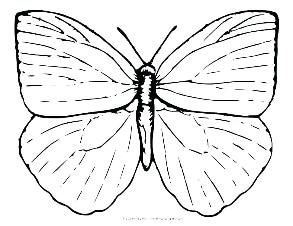 Butterfly Coloring Pages For Kids Butterfly Coloring Pages 970x750 Butterfly Coloring Pages For Kids Butterfly Coloring Pages