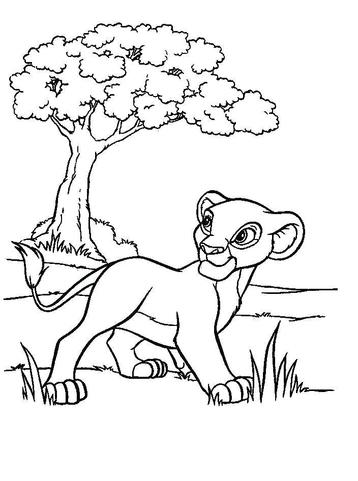 Cartoon Coloring Pages 704x946 Cartoon Coloring Pages
