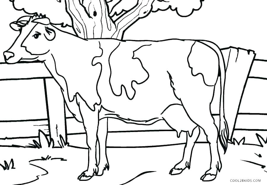 Cartoon Cow Coloring Pages at GetColorings.com | Free printable ...