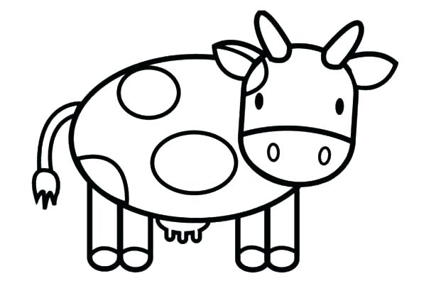 600x413 Coloring Pages Cow Baby Calf Coloring Pages Fabulous Big Cow
