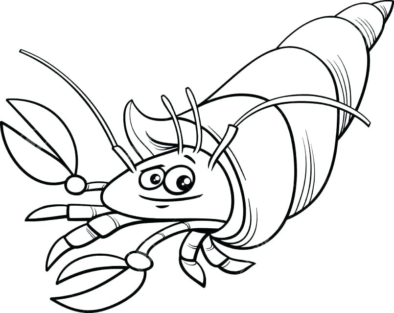 805x639 Crab Coloring Pages Plus Simple Crab Coloring Pages Search Crab