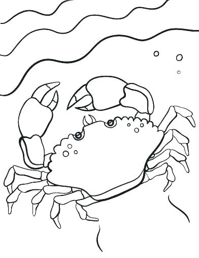 392x507 Hermit Crab Coloring Page For Kids Hermit Crab Coloring Page Free