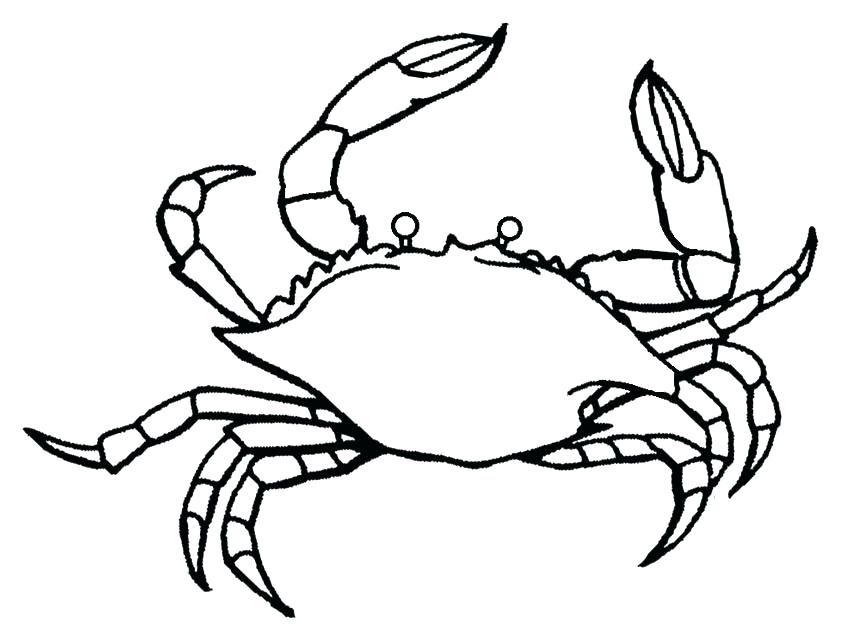 850x640 Hermit Crab Drawing Hermit Crab Coloring Pages Drawn Hermit Crab