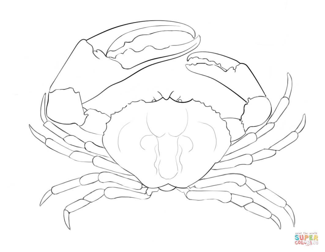 1062x824 Tasmanian Giant Crab Coloring Page From Crabs Category. Select