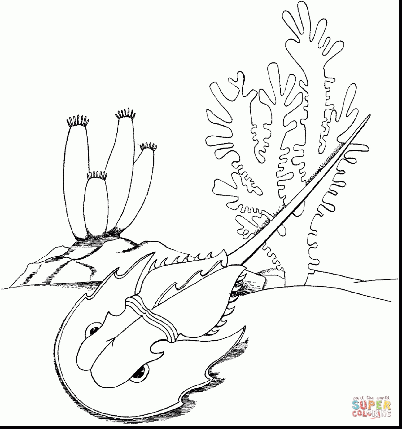 1298x1383 Unique Horseshoe Crab Page To Color Design Printable Coloring Sheet