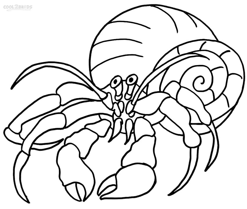 850x719 Crab Coloring Hermit Page Az Pages House