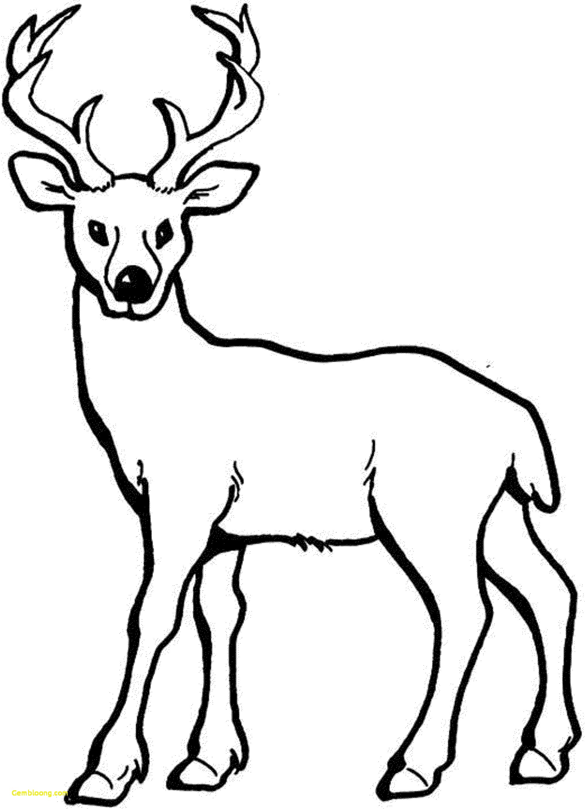 2000x2764 Deer Coloring Pages Trend Baby 18 About Remodel Line Drawings