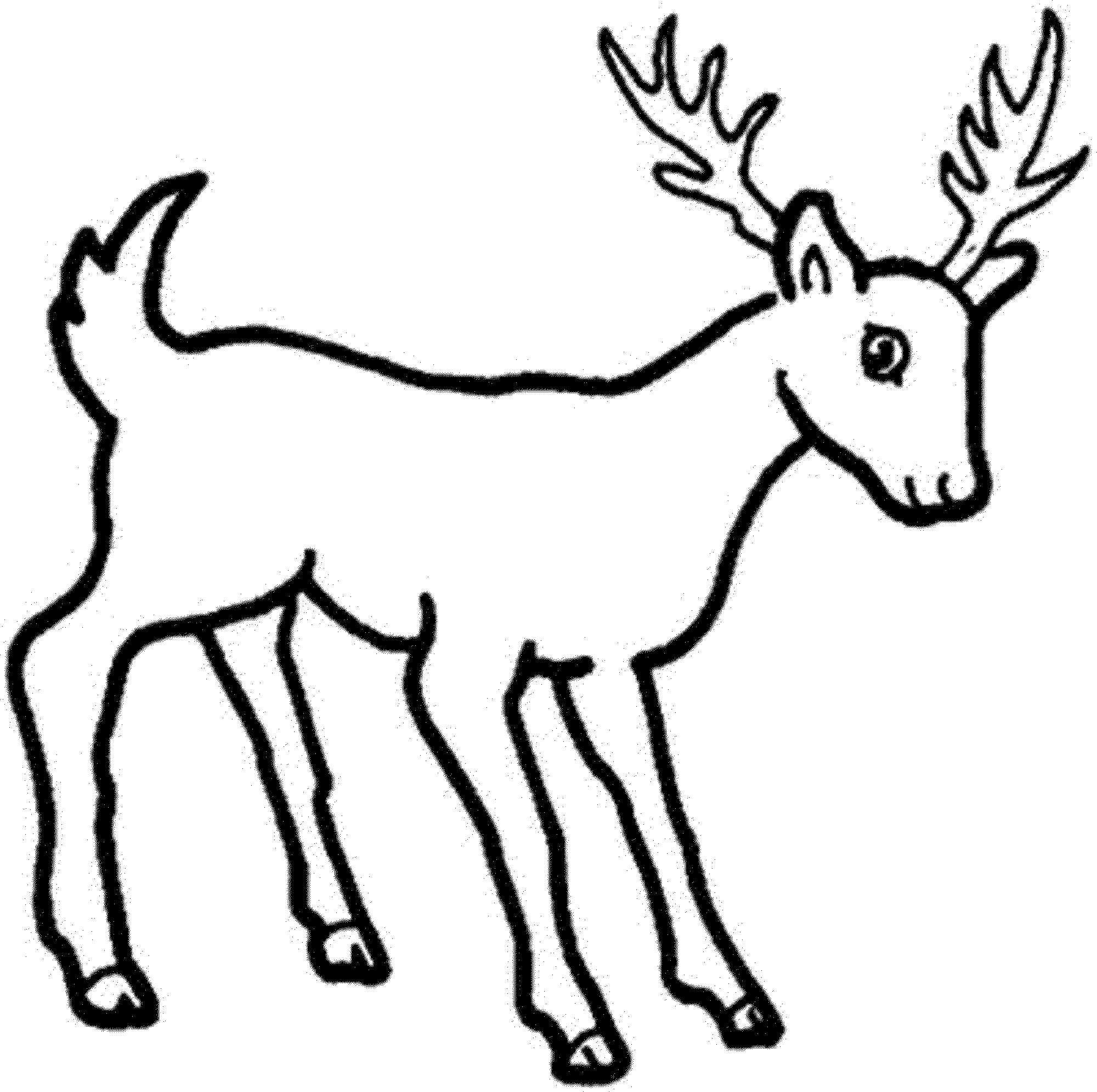 2000x1990 Cartoon Deer Coloring Pages