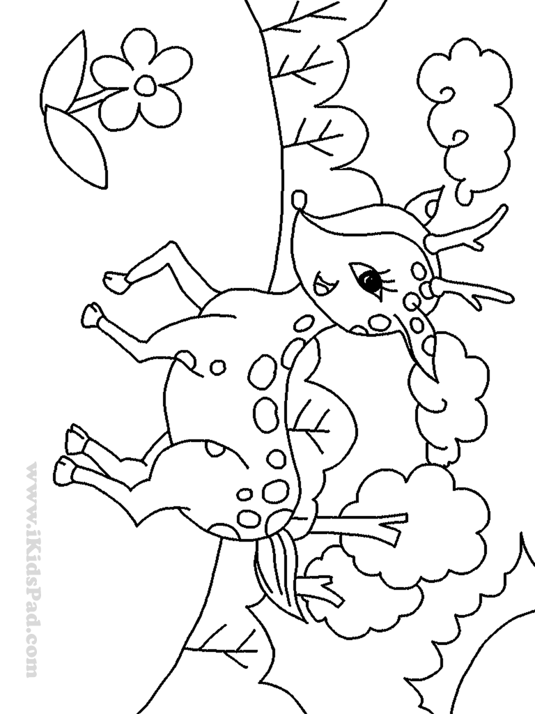 768x1024 Baby Deer Coloring Pages