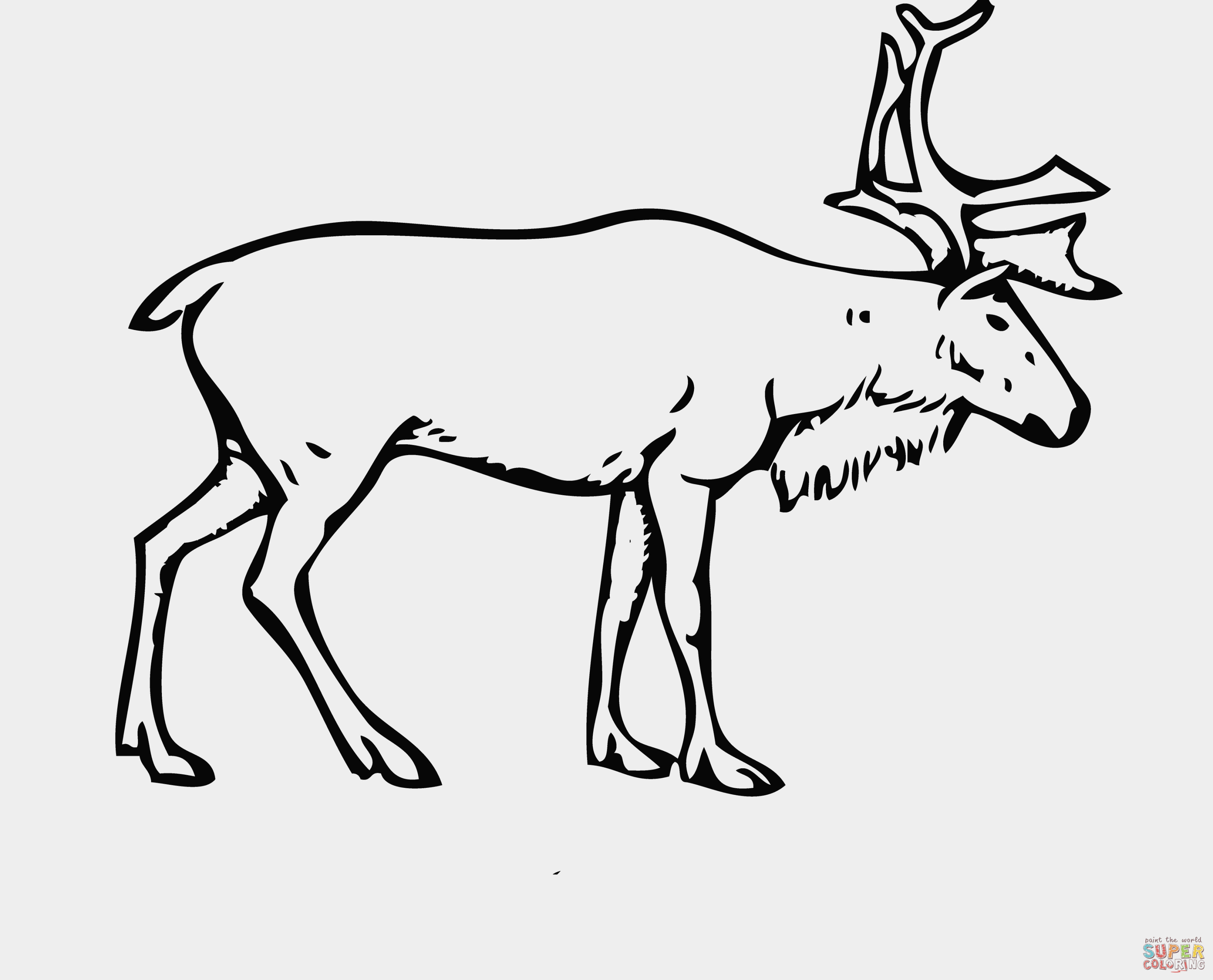 3237x2616 Beautiful Cartoon Deer Coloring Pages