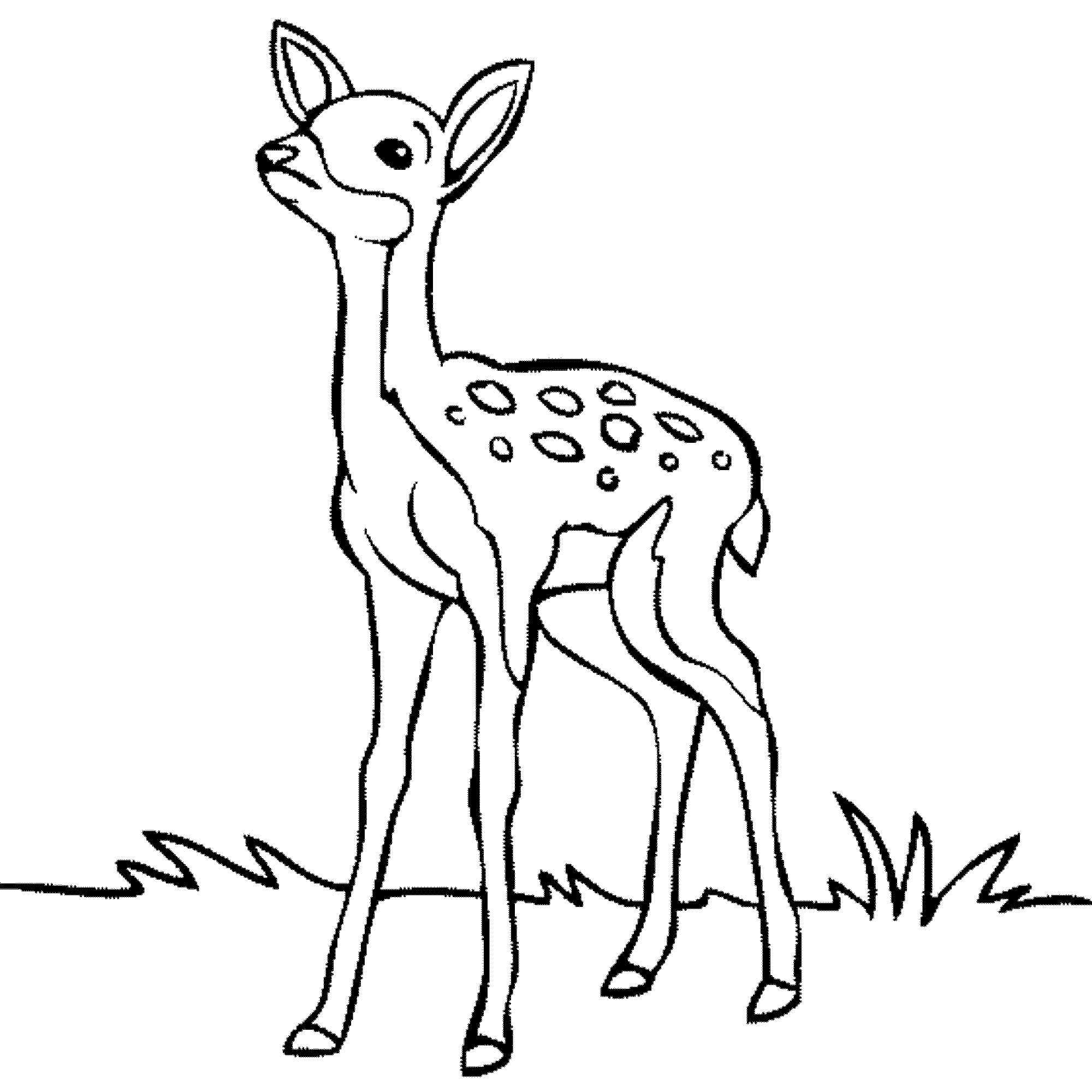 2000x2000 Cartoon Deers Coloring Pages Gallery Coloring For Kids 2018