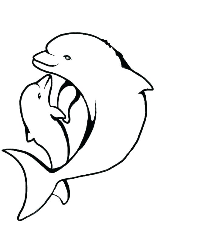 662x790 Printable Dolphin Coloring Pages Coloring Pictures Of Dolphins