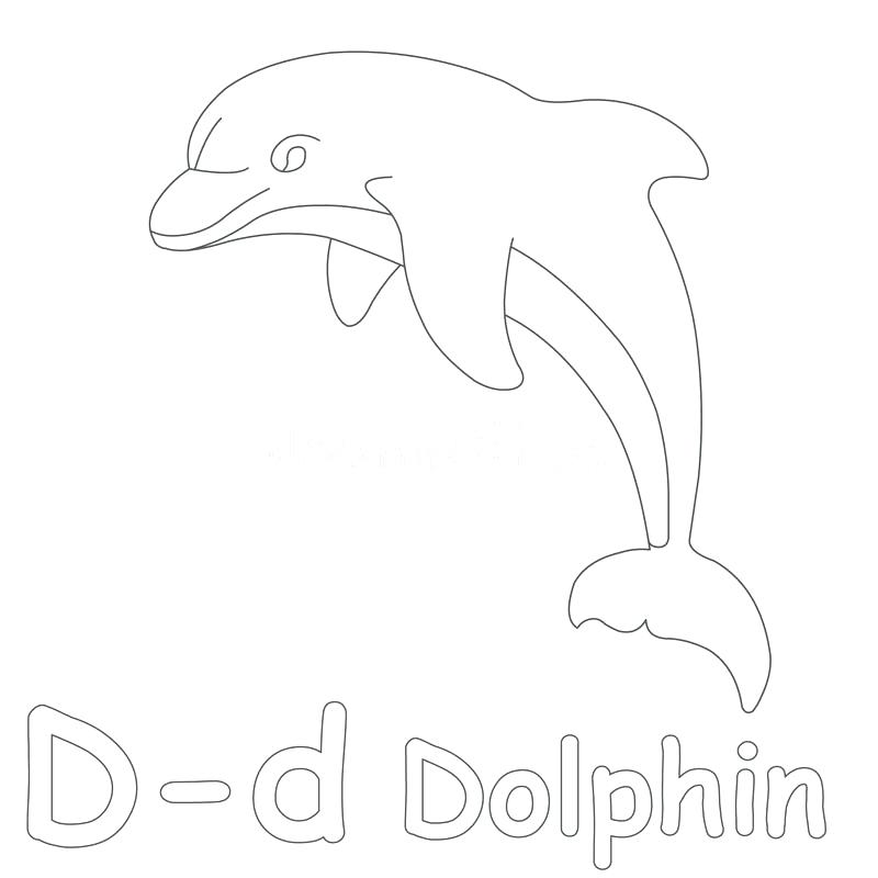 800x800 Dolphin Coloring Page Cartoon Dolphin Pictures Coloring Pages
