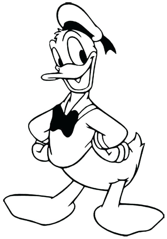 Pictures Ducks To Color Pictures Ducks To Color Pictures 583x837 Pictures Ducks To Color Pictures Ducks To Color Pictures